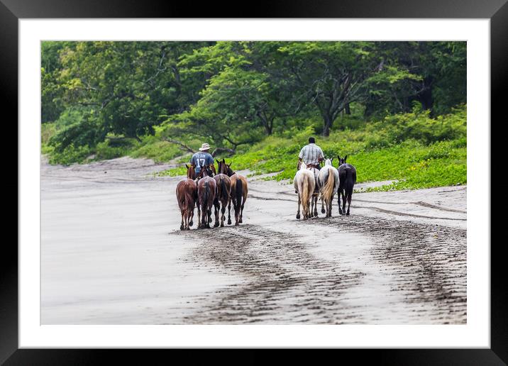 Horses trot along the beach Framed Mounted Print by Jason Wells