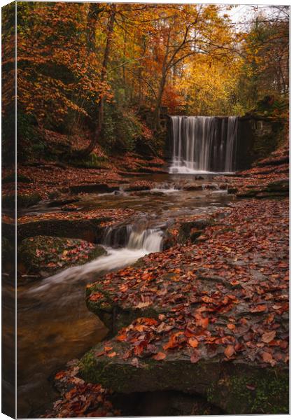 Nant Mill Waterfall Canvas Print by Liam Neon