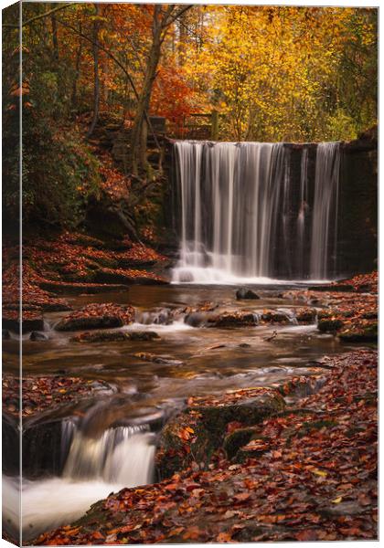 Nant Mill Waterfall Canvas Print by Liam Neon