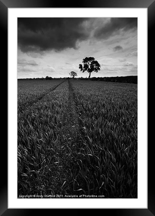 Silhouetted Tree Framed Mounted Print by Andy Stafford