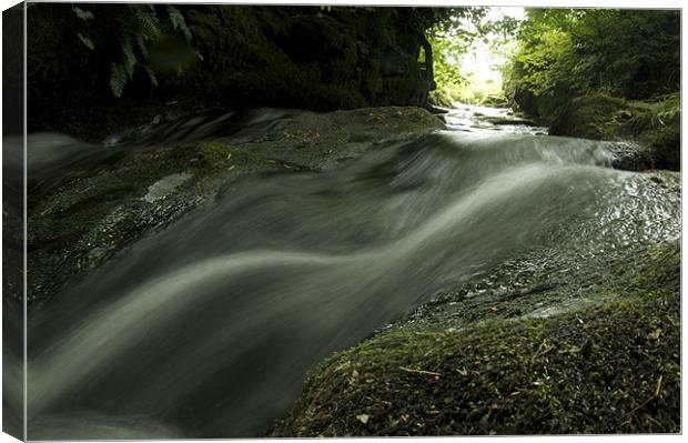 A fast flowing river Canvas Print by William Coulthard