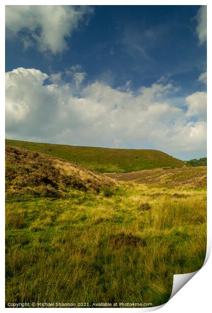 Hole of Horcum, North Yorkshire Moors Print by Michael Shannon