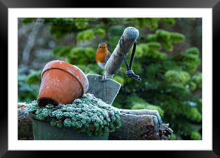 Festive Robin in a Winter Wonderland Framed Mounted Print by kathy white