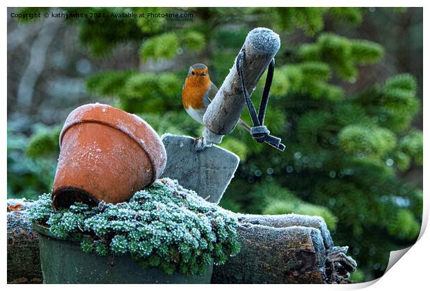 Festive Robin in a Winter Wonderland Print by kathy white