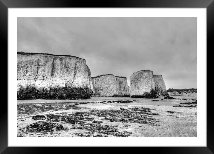 Botany Bay Monochrome Framed Mounted Print by Diana Mower