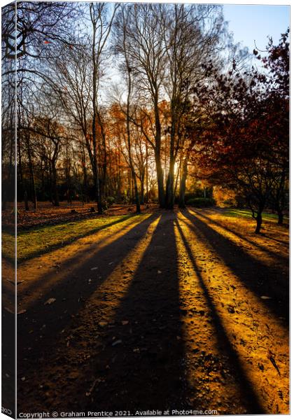 Setting Sun Through Trees Canvas Print by Graham Prentice