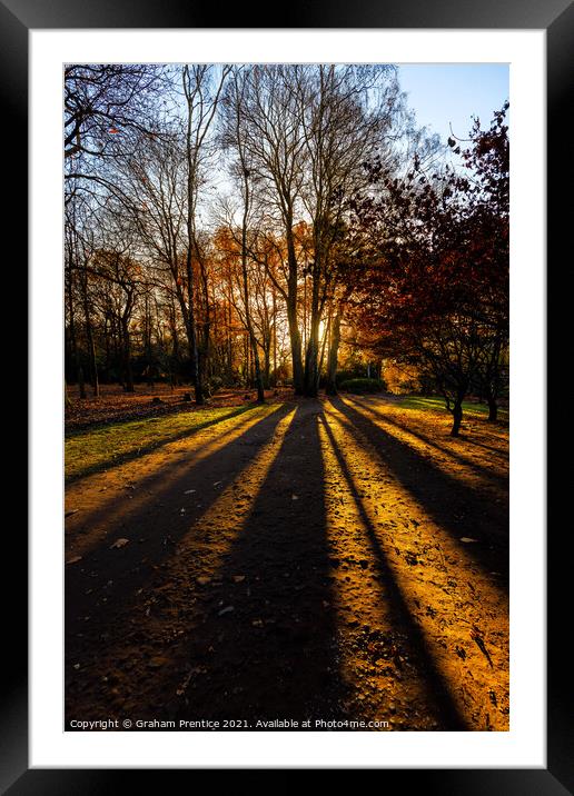 Setting Sun Through Trees Framed Mounted Print by Graham Prentice