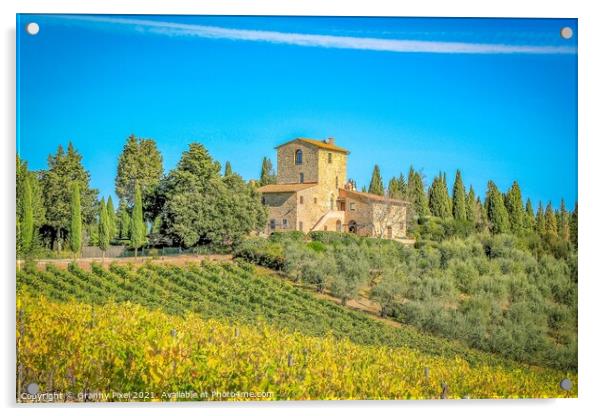 Tuscan Vineyard Acrylic by Margaret Ryan