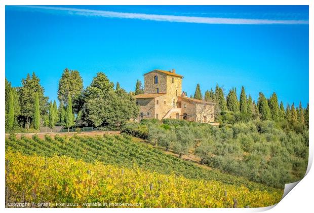 Tuscan Vineyard Print by Margaret Ryan