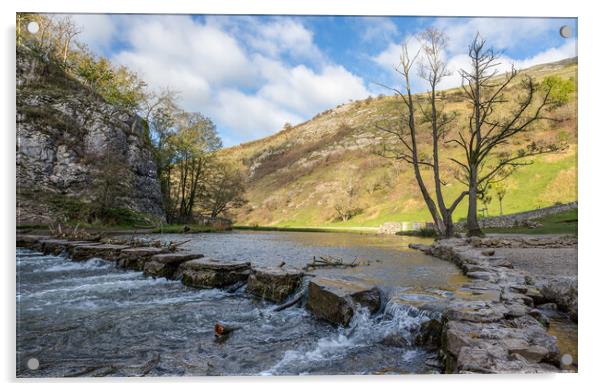 Dovedale stepping stones Acrylic by Jason Wells