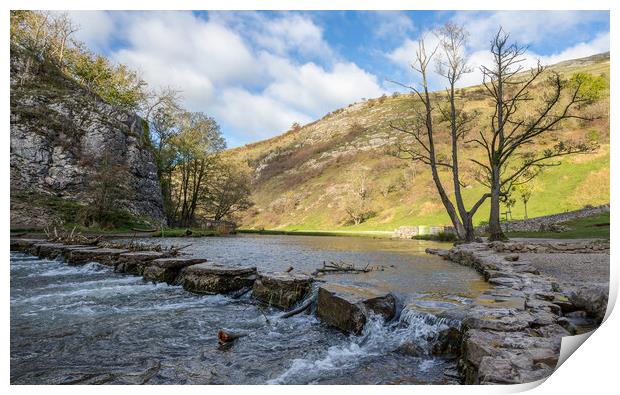 Dovedale stepping stones Print by Jason Wells