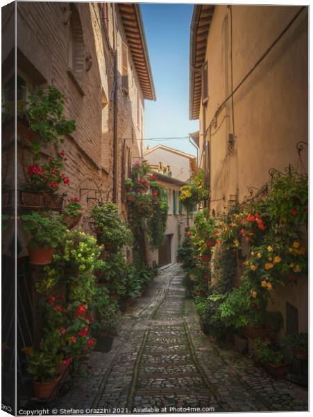 Spello picturesque street and plants. Umbria, Italy. Canvas Print by Stefano Orazzini