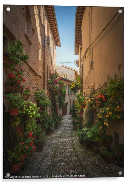 Spello picturesque street and plants. Umbria, Italy. Acrylic by Stefano Orazzini