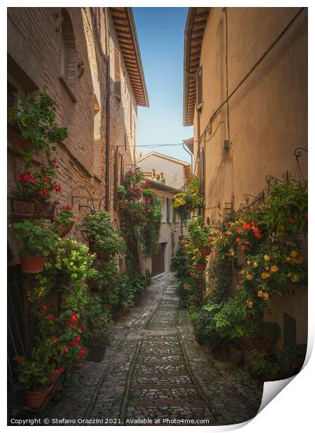 Spello picturesque street and plants. Umbria, Italy. Print by Stefano Orazzini