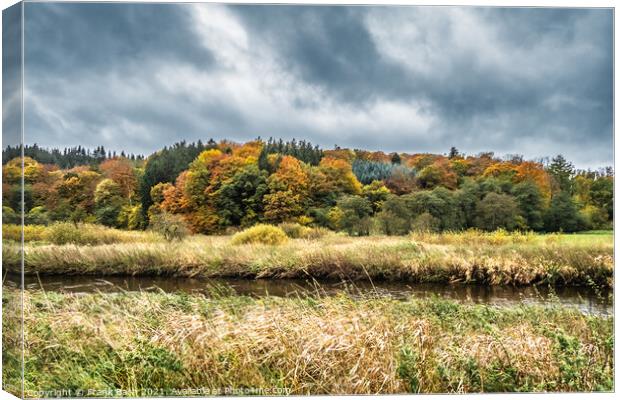 Autumn warm colored leaves, fields and wetlands near Vejle city  Canvas Print by Frank Bach