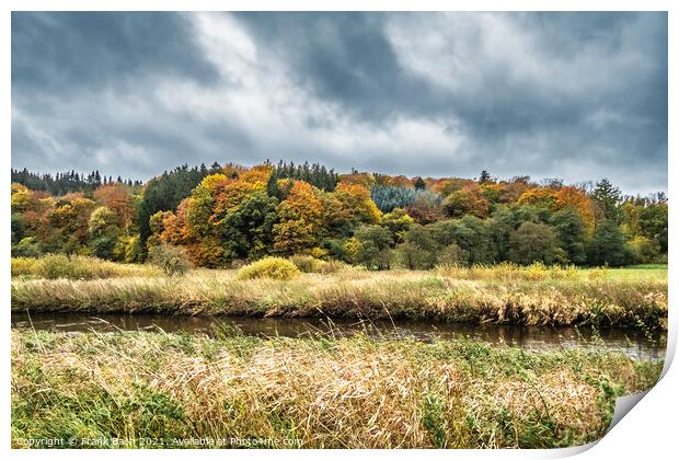 Autumn warm colored leaves, fields and wetlands near Vejle city  Print by Frank Bach