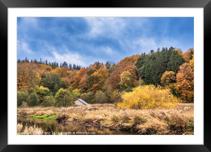 Autumn warm colored leaves, fields and wetlands near Vejle city  Framed Mounted Print by Frank Bach