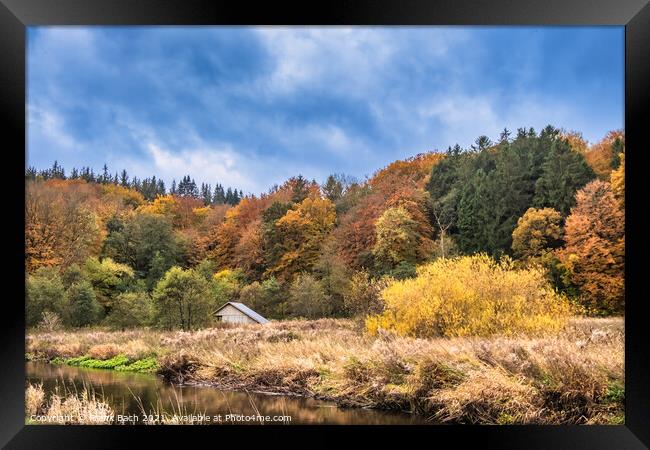 Autumn warm colored leaves, fields and wetlands near Vejle city  Framed Print by Frank Bach