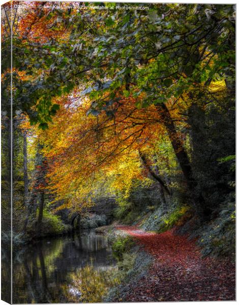 "Autumn Blaze: A Breathtaking Canvas of Nature" Canvas Print by Lee Kershaw