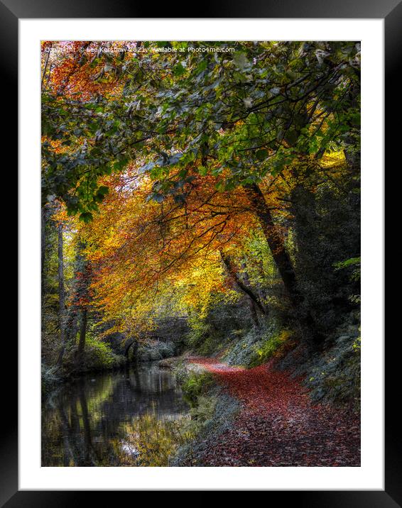 "Autumn Blaze: A Breathtaking Canvas of Nature" Framed Mounted Print by Lee Kershaw
