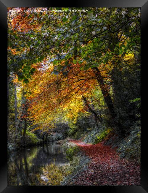 "Autumn Blaze: A Breathtaking Canvas of Nature" Framed Print by Lee Kershaw