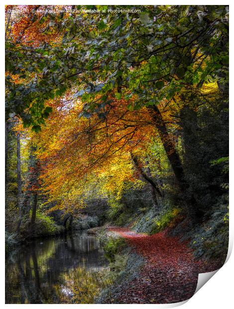 "Autumn Blaze: A Breathtaking Canvas of Nature" Print by Lee Kershaw