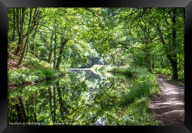 Woodland reflections on Basingstoke Canal Framed Print by Mark Poley