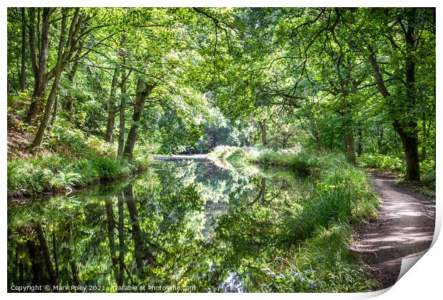 Woodland reflections on Basingstoke Canal Print by Mark Poley