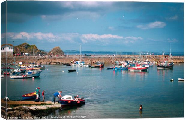 Mevagissey Harbour Canvas Print by Chris Rose