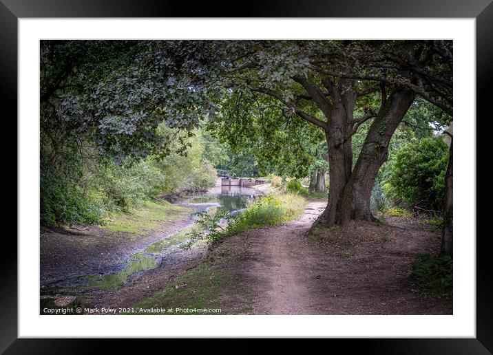 Basingstoke Canal - Dry in Summer  Framed Mounted Print by Mark Poley