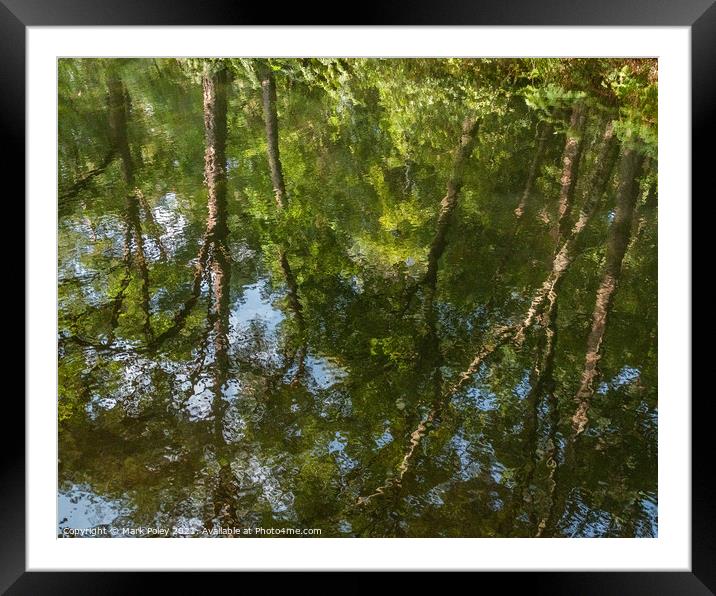 Reflections of Summer Trees along the Basingstoke  Framed Mounted Print by Mark Poley