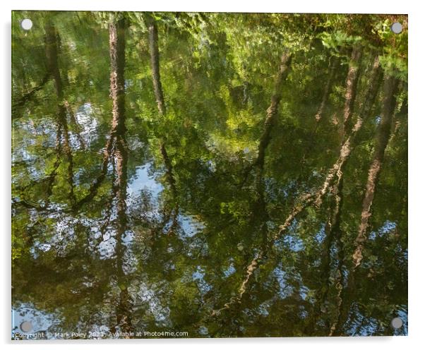 Reflections of Summer Trees along the Basingstoke  Acrylic by Mark Poley