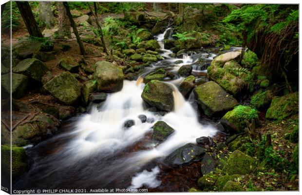 Wyming brook in the Peak district 629 Canvas Print by PHILIP CHALK
