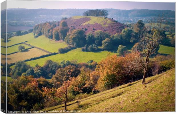 Uley Bury view Canvas Print by Chris Rose