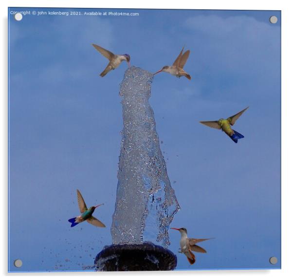 hummingbird fountain Acrylic by john kolenberg