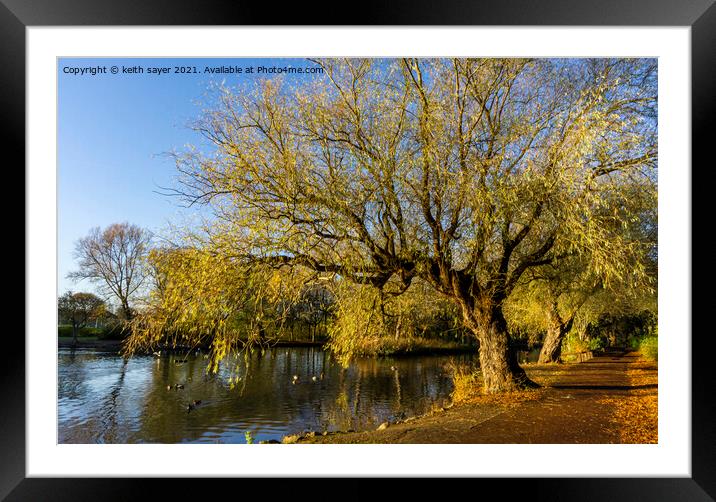 Autumn in Locke Park Redcar Framed Mounted Print by keith sayer
