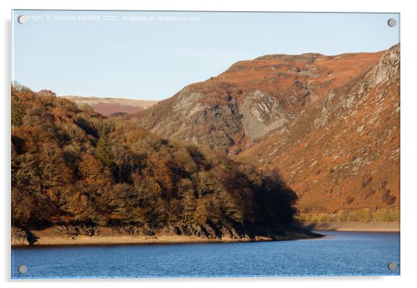 Autumn colours at Elan Valley, Mid Wales, UK. Acrylic by Andrew Bartlett