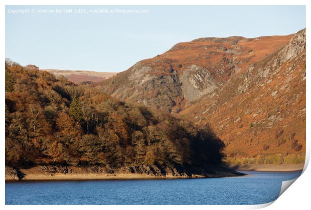Autumn colours at Elan Valley, Mid Wales, UK. Print by Andrew Bartlett