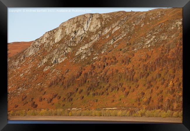 Autumn colours at Elan Valley, Mid Wales, UK. Framed Print by Andrew Bartlett