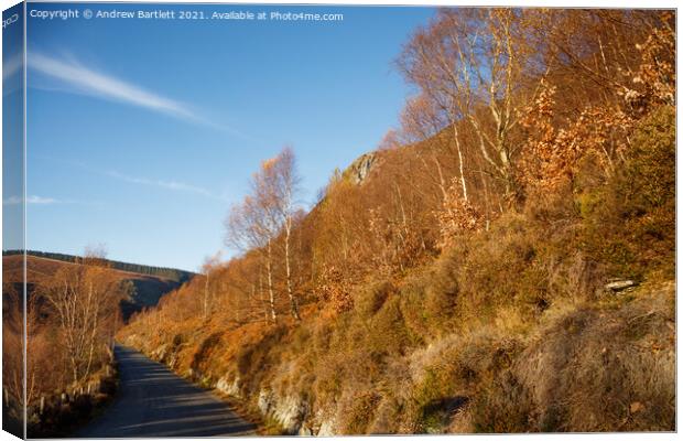 Autumn colours at Elan Valley, Mid Wales, UK. Canvas Print by Andrew Bartlett