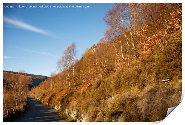 Autumn colours at Elan Valley, Mid Wales, UK. Print by Andrew Bartlett