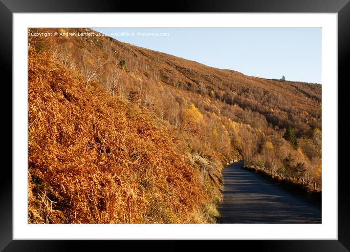 Autumn colours at Elan Valley, Mid Wales, UK. Framed Mounted Print by Andrew Bartlett