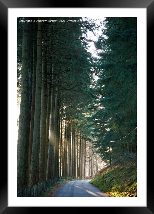 The sun shines through at forest at Elan Valley, M Framed Mounted Print by Andrew Bartlett