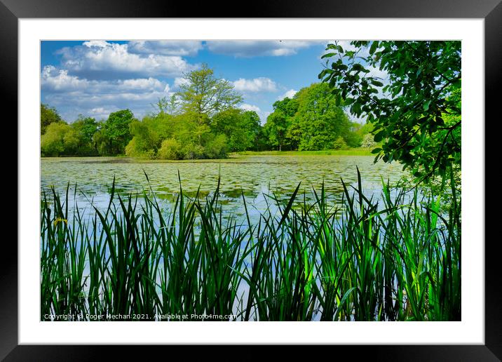 Glowing Lily Pond Reflections Framed Mounted Print by Roger Mechan