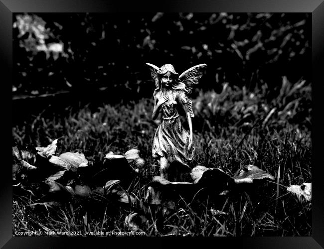 Fairy in the Moonlight. Framed Print by Mark Ward