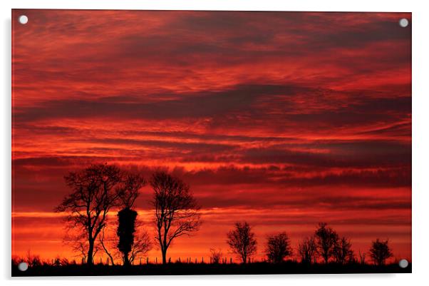 Trees at Sunrise  Acrylic by Simon Johnson