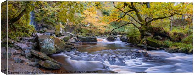 Mallyan Spout and West Beck Canvas Print by Martin Williams