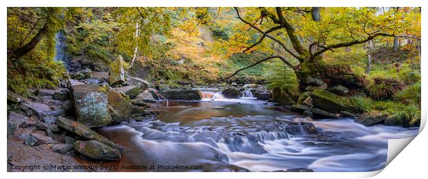 Mallyan Spout and West Beck Print by Martin Williams