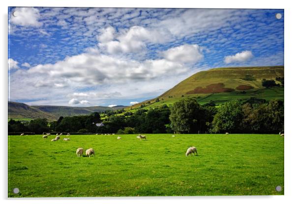 Sheep Grazing near Edale  Acrylic by Darren Galpin
