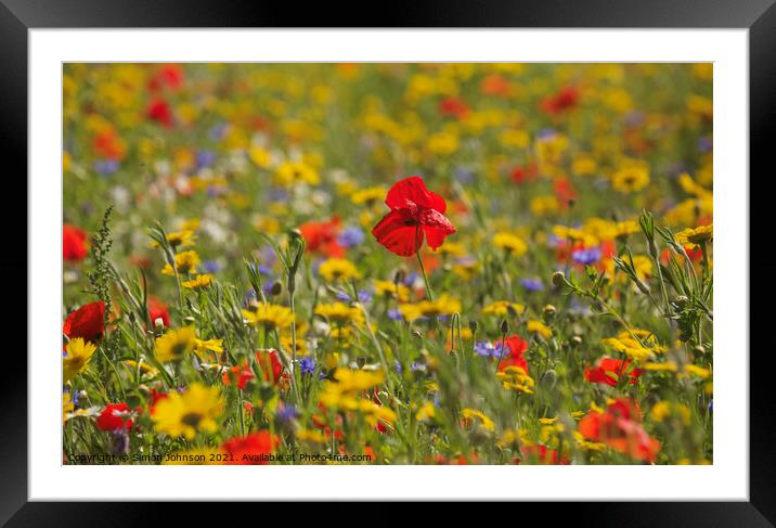 Wild flower meadow Framed Mounted Print by Simon Johnson